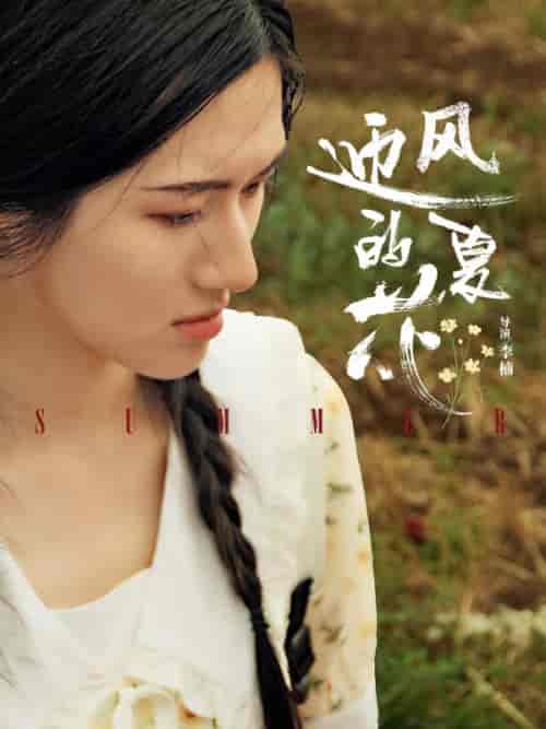 迎风的夏花（100集全）傅寒川＆乔夏 - 紫橙阁短剧