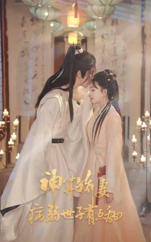 神算娇妻病弱世子有点甜（80集全）卢梦琳＆姜竣瀚-紫橙网创项目网