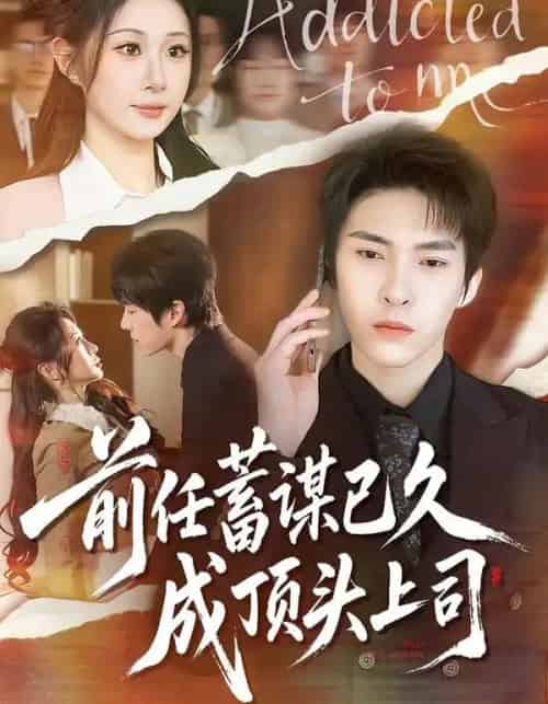 前任蓄谋已久成顶头上司（70集全）魏家乐＆张禹麟-紫橙网创项目网