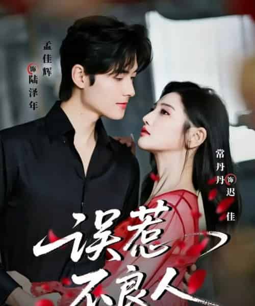 误惹不良人（65集全）常丹丹＆孟佳辉-紫橙网创项目网