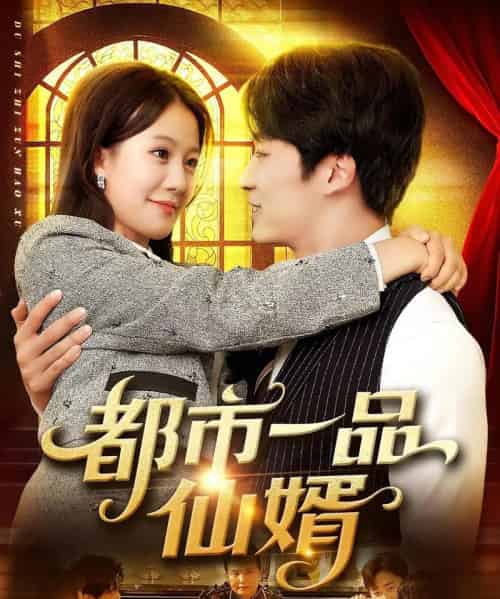 都市一品仙婿 都市一品仙婿