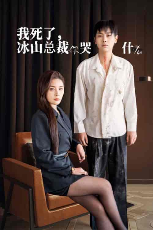 我死了冰山总裁你哭什么（30集全） - 紫橙阁短剧