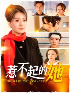 惹不起的她（106集）屈婉琼 - 紫橙阁短剧