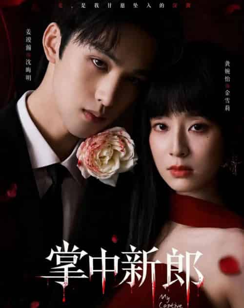 掌中新郎(60集全)姜竣瀚&龚婉怡-紫橙网创项目网