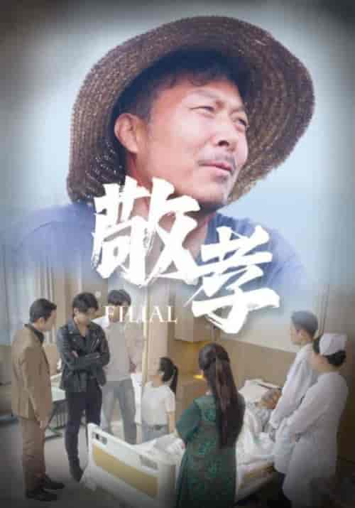 敬孝（61集）王燕 - 紫橙阁短剧
