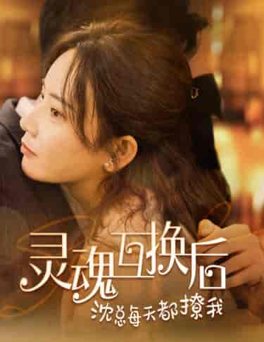 灵魂互换后沈总每天都撩我（80集） - 紫橙阁短剧