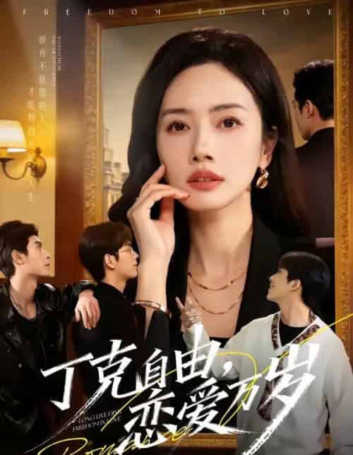 丁克自由，恋爱万岁（80集全）张泽渊＆杜嘉人-紫橙网创项目网