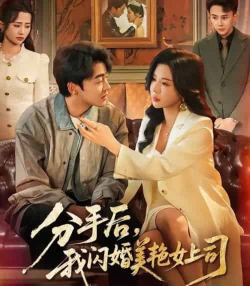 分手后，我闪婚美艳女上司（62集全）涂蕊＆王鑫源-紫橙网创项目网