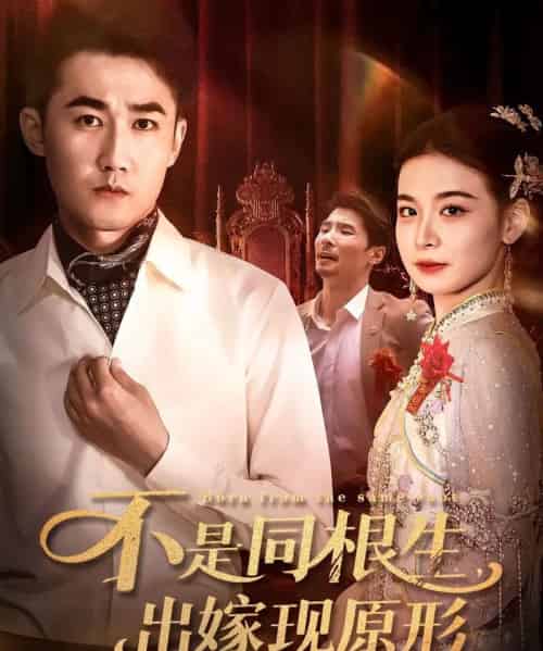 不是同根生出嫁现原形（60集） - 紫橙阁短剧