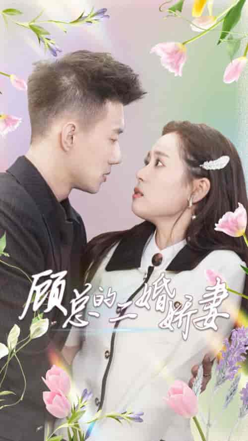 顾总的二婚娇妻（79集） - 紫橙阁短剧