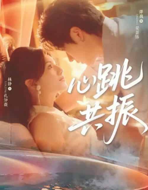 心跳共振（60集全）邵巍＆林静-紫橙网创项目网