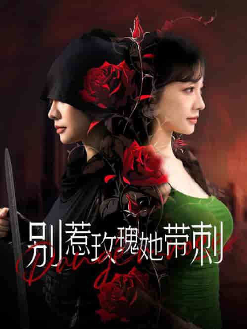 别惹玫瑰她带刺（100集全） - 紫橙阁短剧
