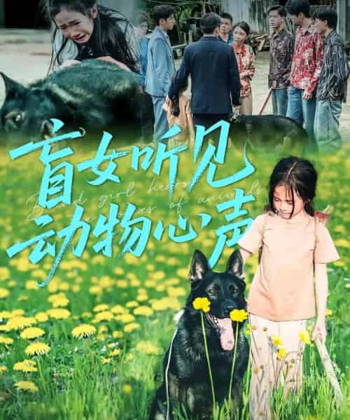 盲女听见动物心声（61集） - 紫橙阁短剧