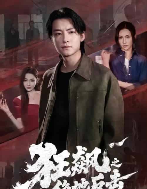 狂飙之绝地反击(70集全)刘尚麟&时一-紫橙网创项目网