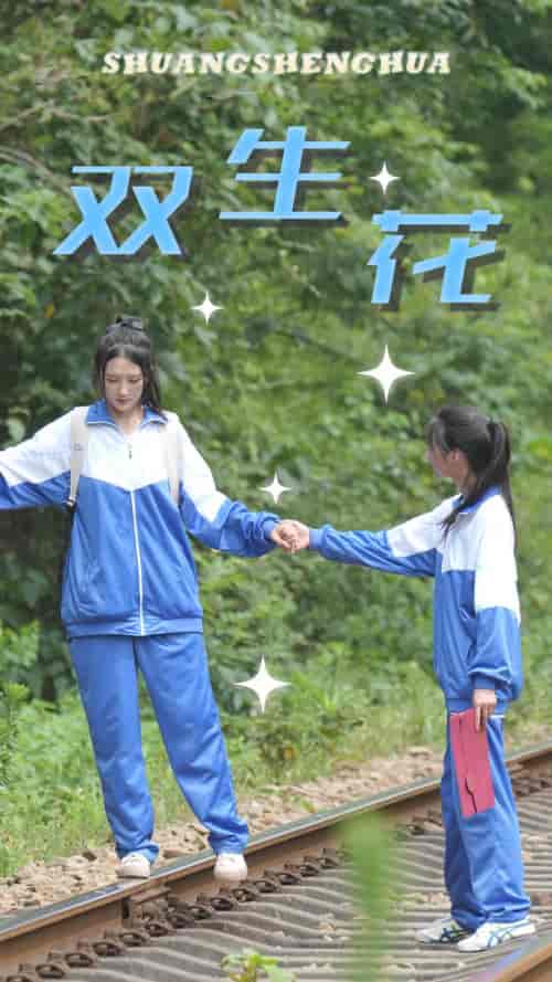 双生花（36集） - 紫橙阁短剧