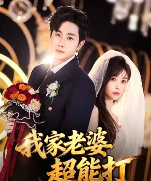 我家老婆超能打(60集全)王新颖&杨皓竣-紫橙网创项目网