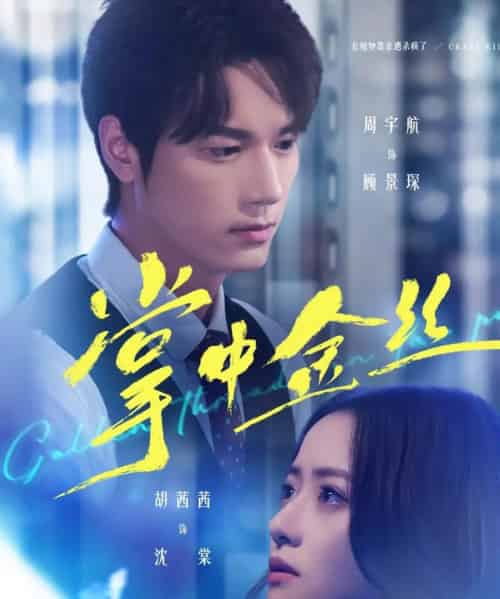 掌中金丝＆长姐她竟是隐藏大佬（60集全）周宇航＆胡茜茜-紫橙网创项目网