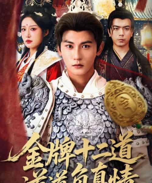 金牌十二道道道负真情（70集全）宋楠＆孙虎城-紫橙网创项目网