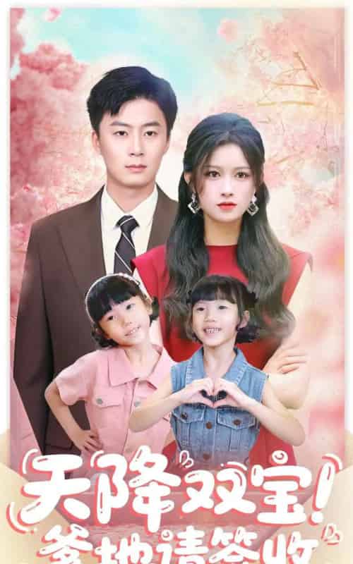 天降双宝爹地请签收（84集全）戴金麟＆赵慧 - 紫橙阁短剧