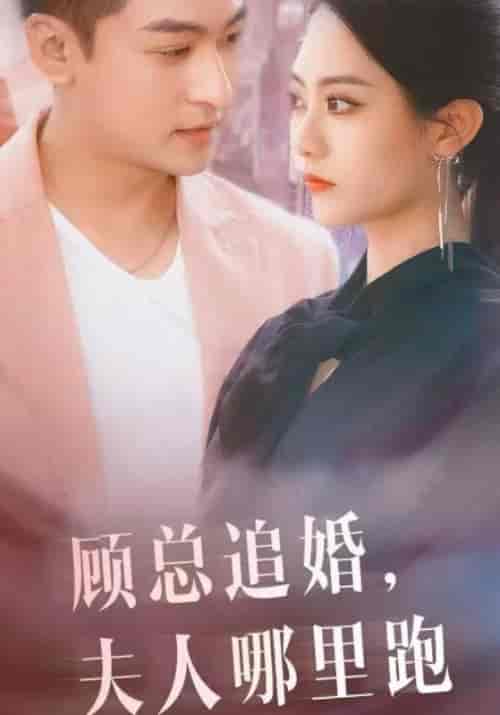 顾总追婚，夫人哪里逃（100集全）顾言洛＆林雅南 - 紫橙阁短剧
