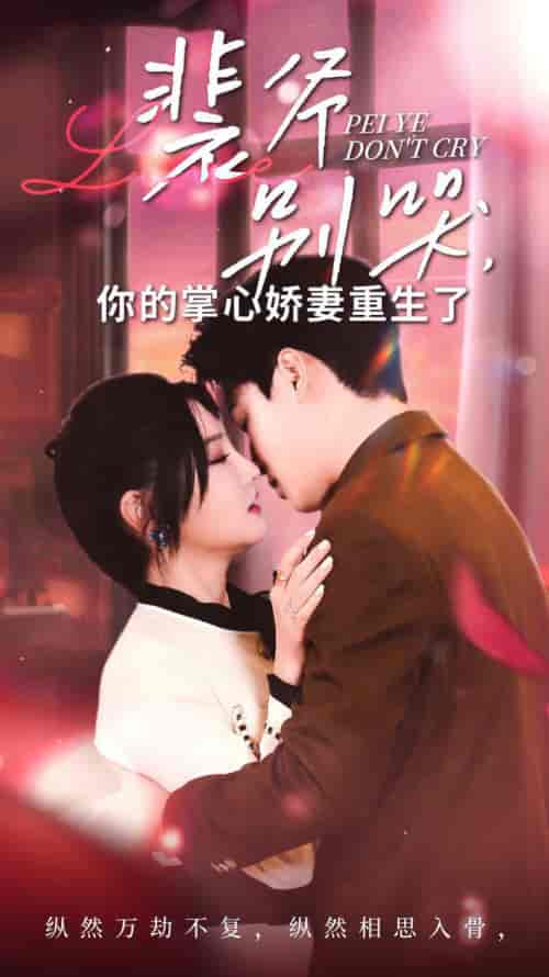 裴爷别哭你的掌心娇妻重生了（70集全）常丹丹 - 紫橙阁短剧
