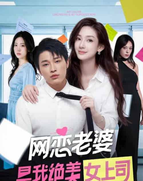 网恋老婆是我绝美女上司(55集全)刘皓煜&李恩灿-紫橙网创项目网