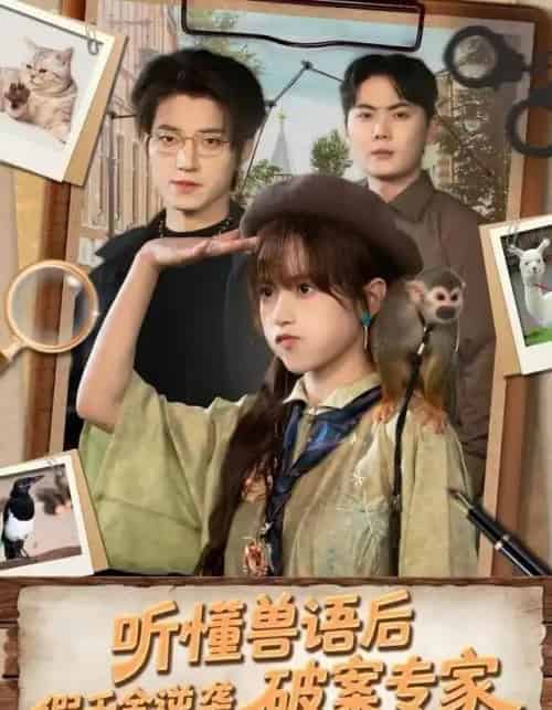 听懂兽语后，假千金逆袭破案专家（80集全）文晴＆张宇轩-紫橙网创项目网
