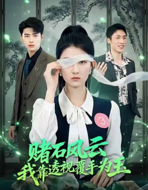 赌石风云:我靠透视覆手为玉(85集全)赵敏琪&蔡佳伦-紫橙网创项目网