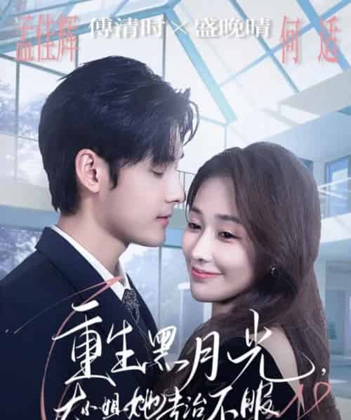 重生黑月光,大小姐她专治不服(80集全)孟佳辉&何适-紫橙网创项目网