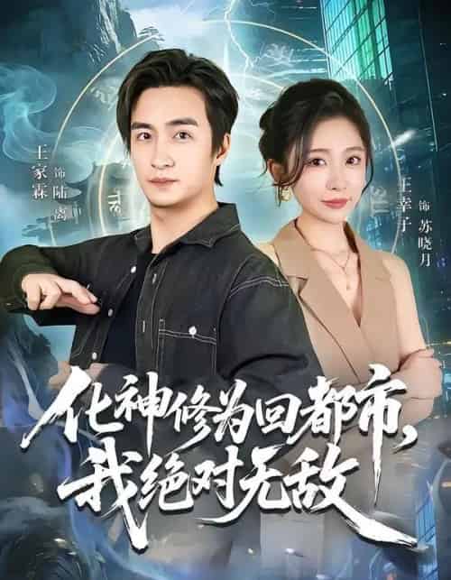 化神修为回都市,我绝对无敌(69集全)王家霖&王幸子-紫橙网创项目网