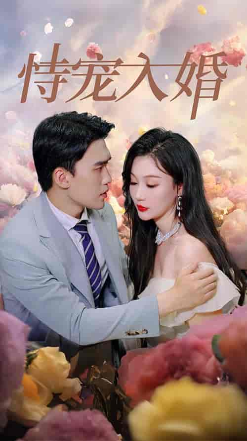 恃宠入婚（89集） - 紫橙阁短剧