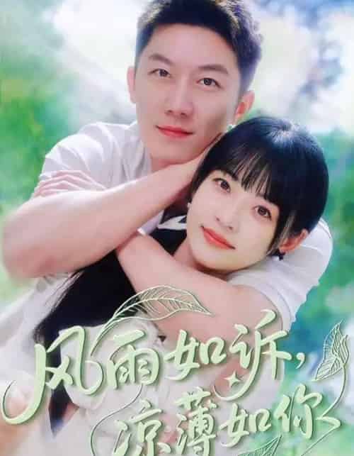 风雨如诉凉薄如你（70集）林津伊＆张层层 - 紫橙阁短剧