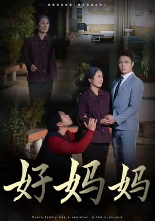 好妈妈（30集全）陈永强＆白素琴 - 紫橙阁短剧