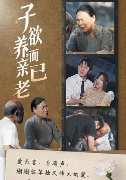 子欲养，而亲已老（58集全）庄天赐＆宋暖 - 紫橙阁短剧