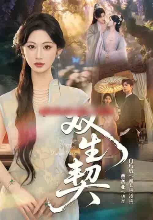 双|生契(65集全)白衔威&曹赛亚-紫橙网创项目网