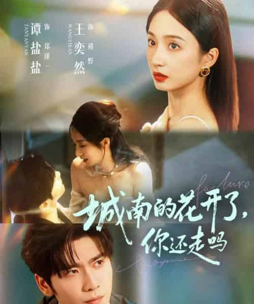 城南的花开了，你还走吗（84集全）王奕然＆谭盐盐-紫橙网创项目网