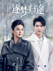 逐梦归途（60集全）孙博文＆唐雪晴 - 紫橙阁短剧