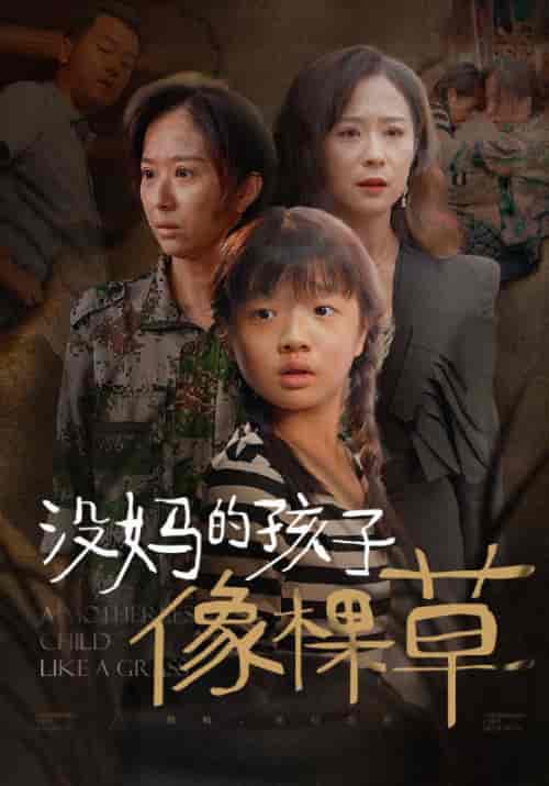 没妈的孩子像棵草（50集全）张大强＆田素红 - 紫橙阁短剧