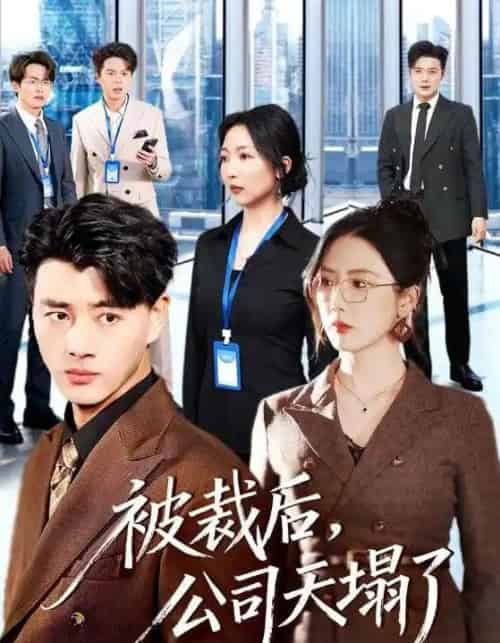 被裁后，公司天塌了（66集全）李进源＆金鑫欣-紫橙网创项目网