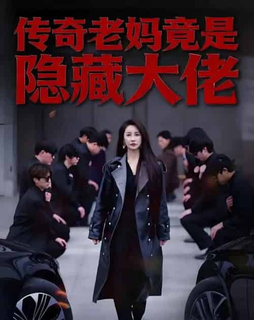 传奇老妈竟是隐藏大佬(61集全)舒展&雷博昊-紫橙网创项目网