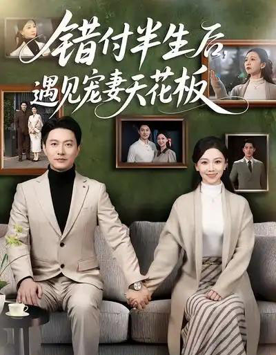 错付半生后，遇见宠妻天花板（80集全）鞠瑾＆樊磊-紫橙网创项目网
