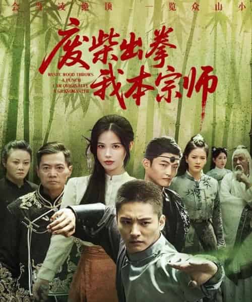 废柴出拳我本宗师 废柴出拳我本宗师