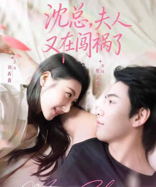 沈总，夫人又在闯祸了（79集全）熊云皓＆刘禹鑫-紫橙网创项目网