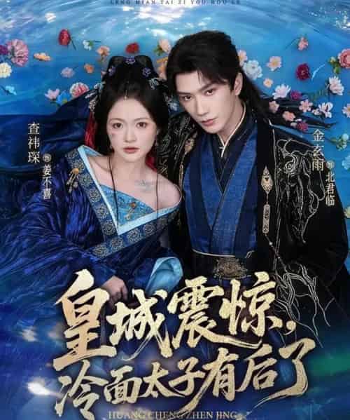 皇城震惊,冷面太子有后了(80集全)金玄雨&查祎琛-紫橙网创项目网