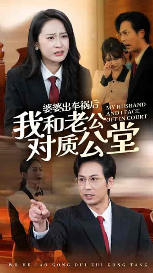 婆婆出车祸后我和老公对质公堂（35集全）王紫轩 - 紫橙阁短剧