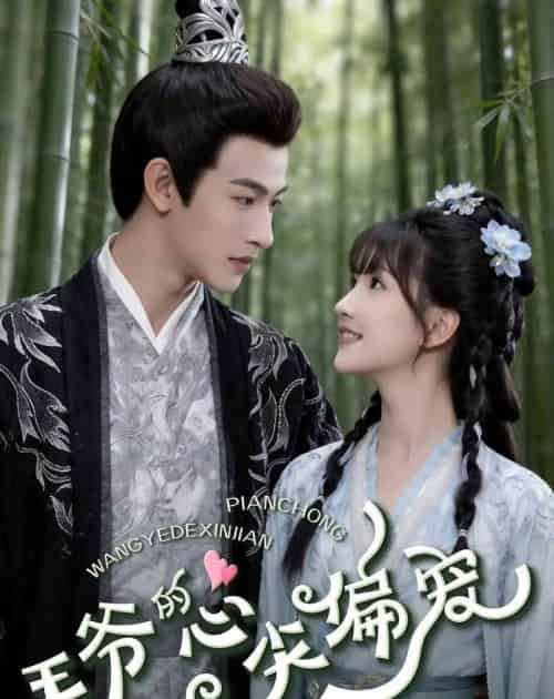 王爷的心尖偏宠（60集全）何雨洋＆高梦雅-紫橙网创项目网