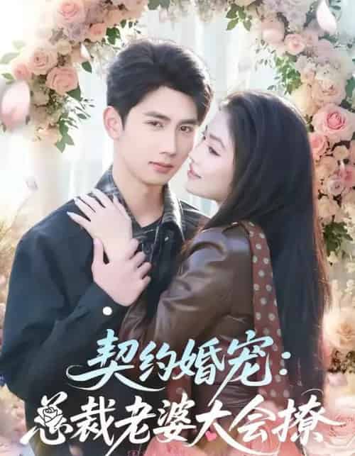 契约婚宠:总裁老婆太会撩(82集全)柳贯一&骆虹宇-紫橙网创项目网