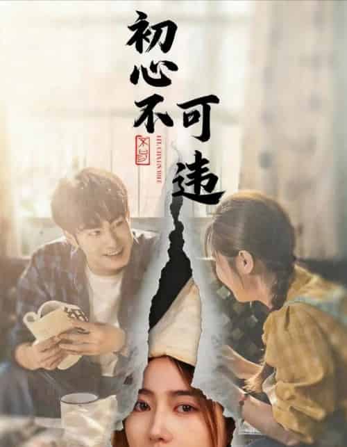 初心不可违 初心不可违