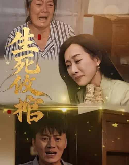 生死攸棺（52集全）戴金麟＆赵靖祎 - 紫橙阁短剧