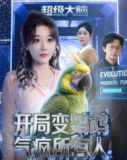 开局变鹦鹉气疯所有人(66集全)李季&张棠-紫橙网创项目网